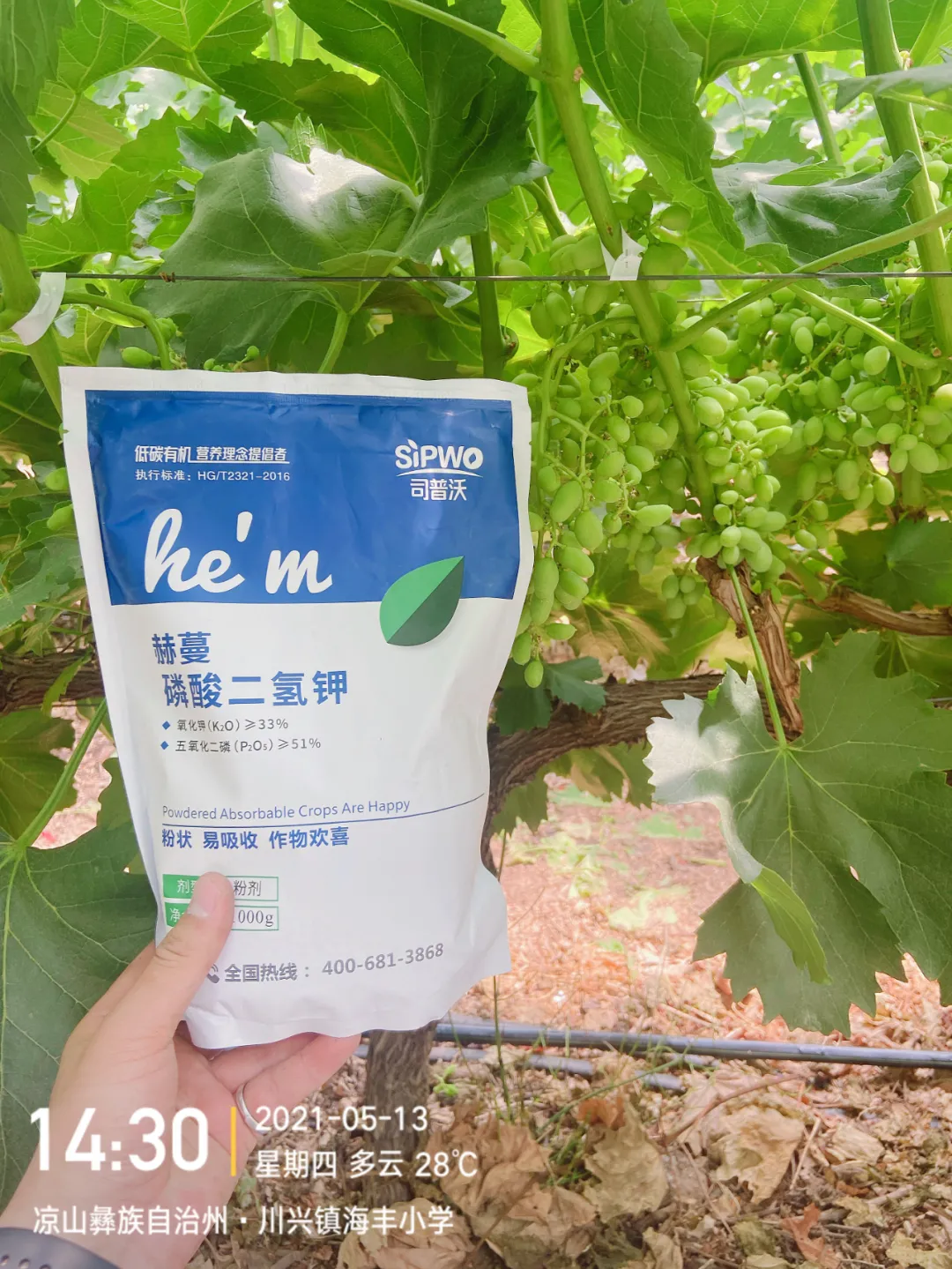 磷酸二氫鉀的辨別真假現(xiàn)場(chǎng)，99%以上是假貨！