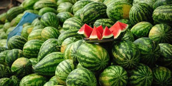 西瓜裂果怎么辦？除了水的管理還要補(bǔ)充這個!