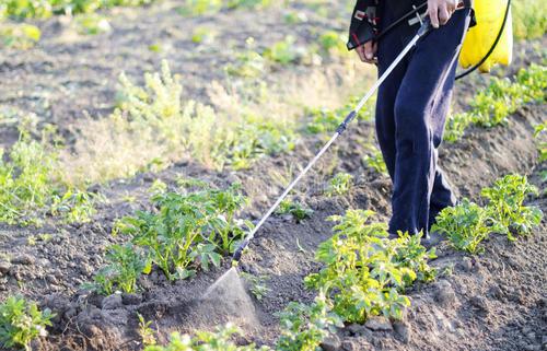 在田蔬菜如何渡過冷冬？不要著急，司普沃帶著抗寒防凍措施來了