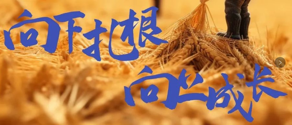 向下扎根，向上成長(zhǎng)，司普沃6月市場(chǎng)服務(wù)一線效果反饋