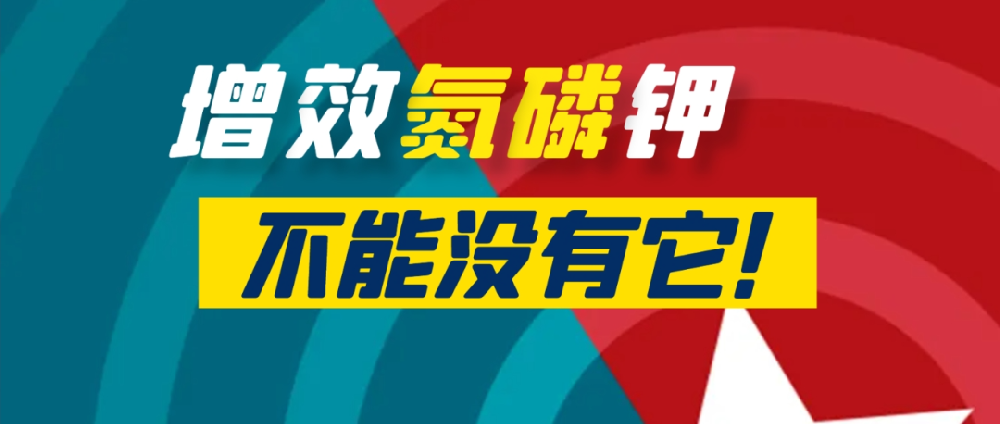 要想作物長得好，中量元素少不了！