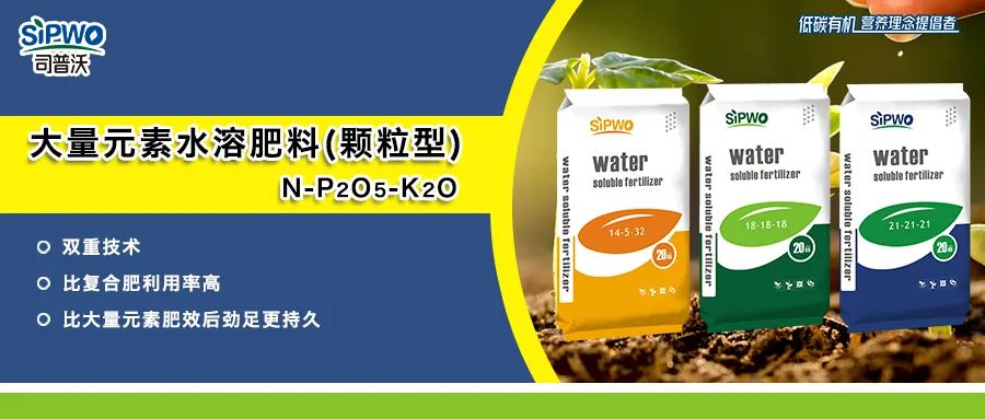 赫蔓-大量元素水溶肥料_顆粒型|肥效持久，后勁足