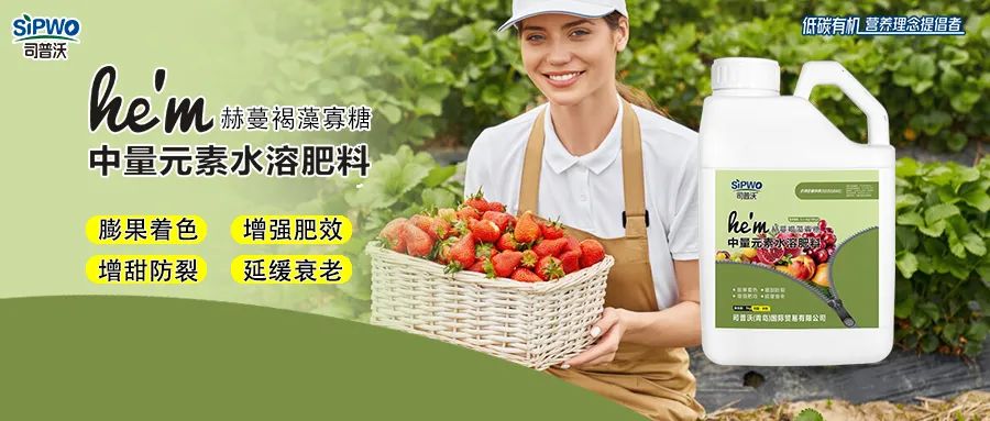 褐藻寡糖--中量元素水溶肥|膨果著色、增強(qiáng)肥效、增甜防裂、延緩衰老