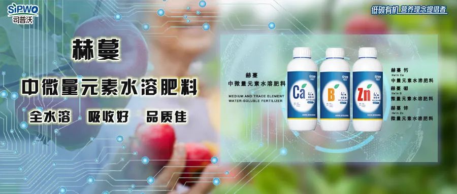 中微量元素鈣、硼、鋅|移動(dòng)快、吸收好、營養(yǎng)全、品質(zhì)佳