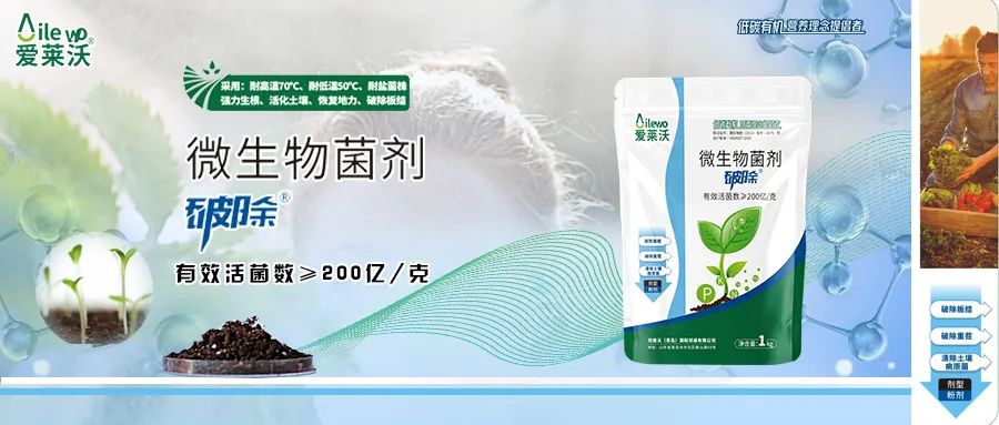 愛萊沃·微生物菌劑_破除|沃土、生根、抗病一步到位