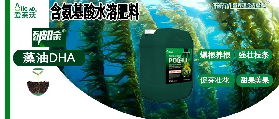 愛萊沃·破除藻油DHA|爆根養(yǎng)根、強(qiáng)壯枝條、促芽壯花、甜果美果