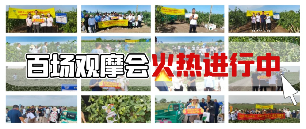 司普沃盛啟百場(chǎng)觀摩會(huì)，**檢驗(yàn)產(chǎn)品熱潮正當(dāng)時(shí)
