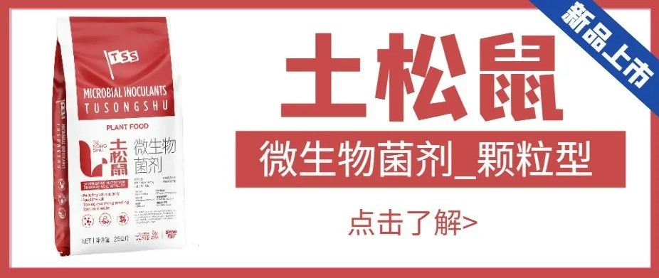 【匠心出品】微生物菌劑-土松鼠|恢復(fù)地力、肥沃土壤、爆根壯苗、降低病害