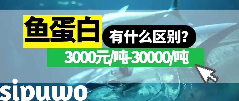 3000-30000元/噸的魚蛋白有多大差距？一篇文章告訴你！